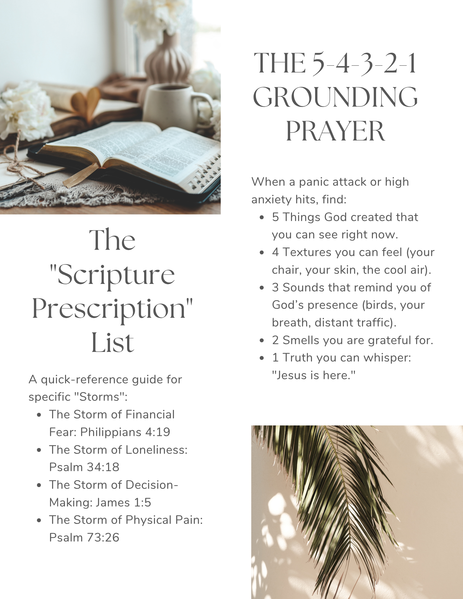 The Steady Soul Devotional and Workbook